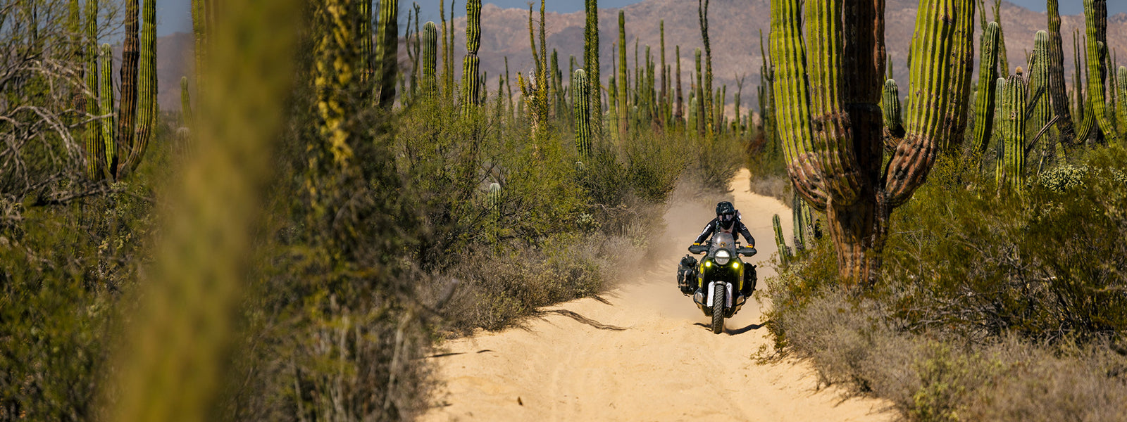 Motorcycle Panniers