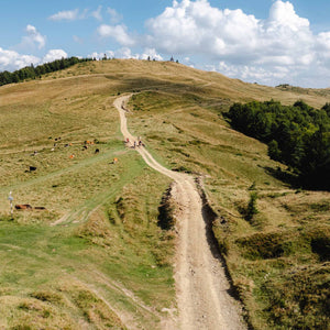 Dusty Lizard Campout Romania 2025
