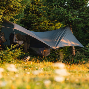 Dusty Lizard Campout Romania