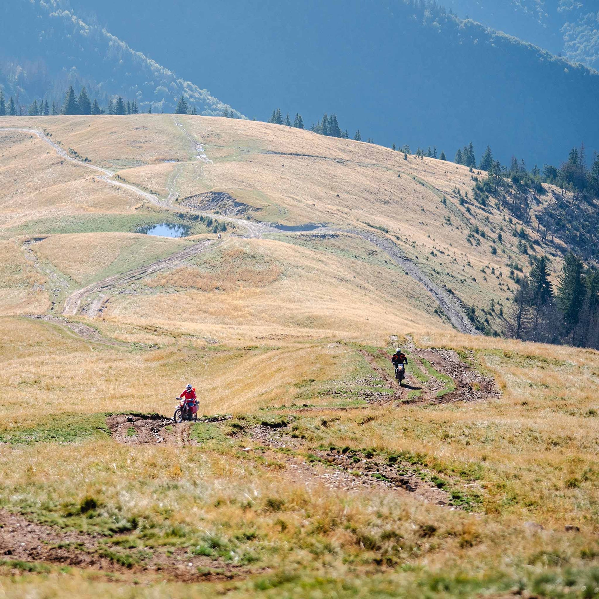 Dusty Lizard Campout Romania 2025