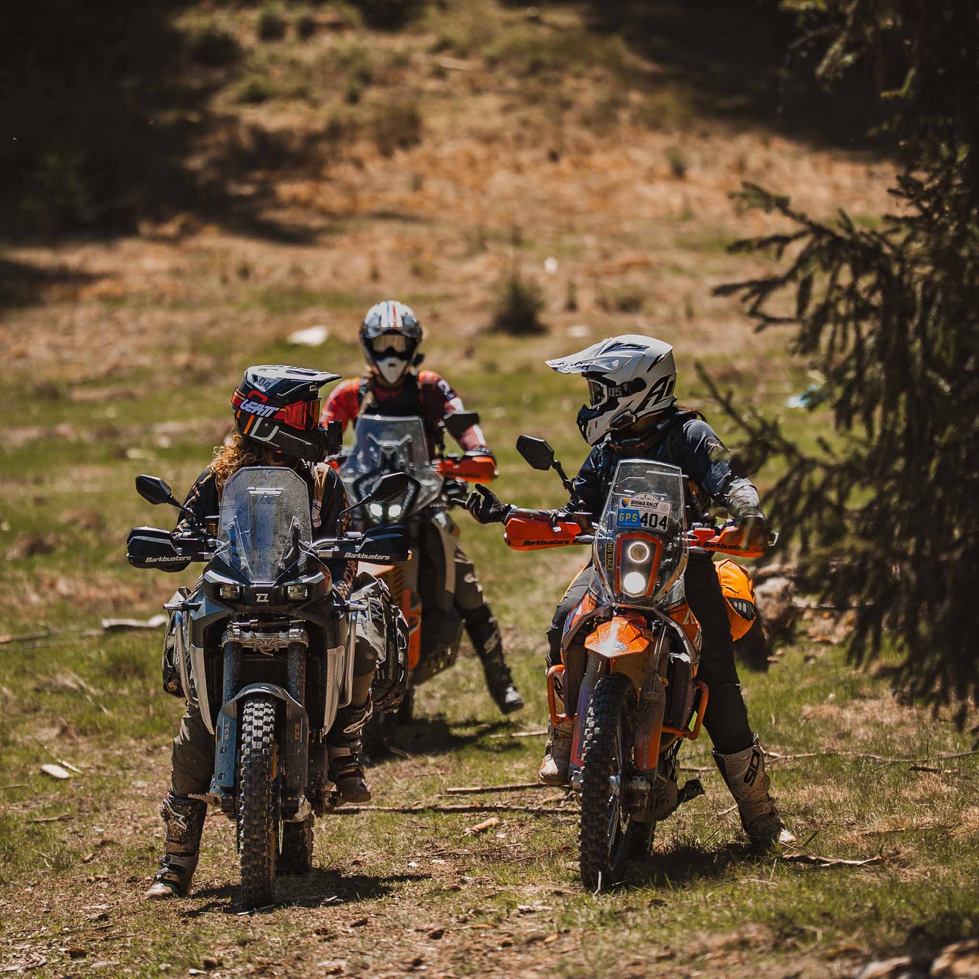 Dusty Lizard Campout Romania 2025