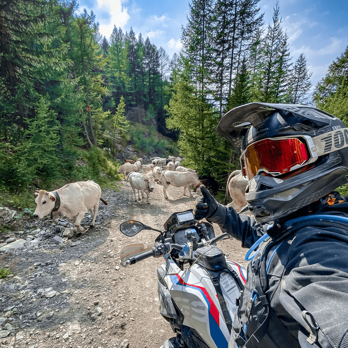 Pico Tank Bag (V2.0)