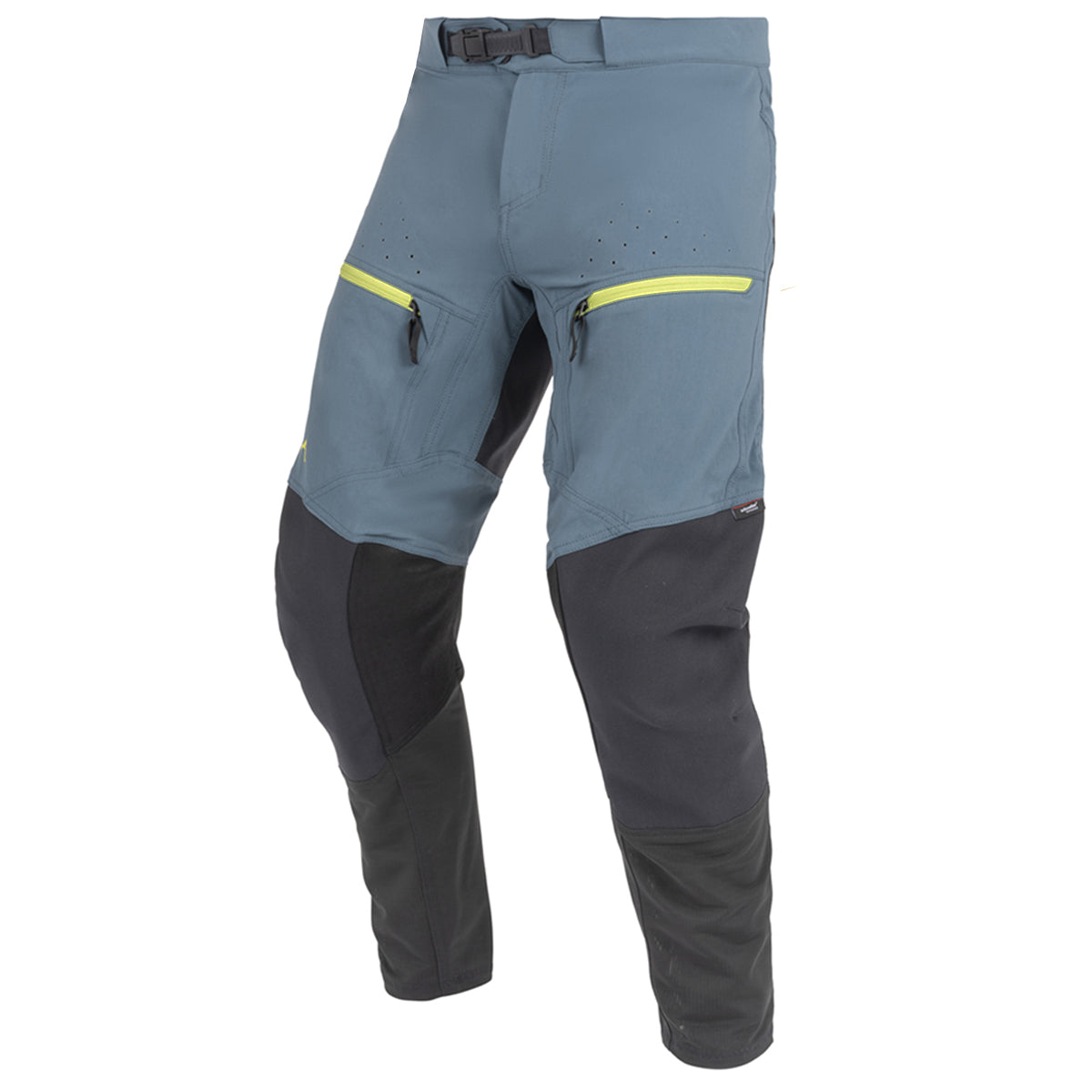 Surveyor Pant 2024